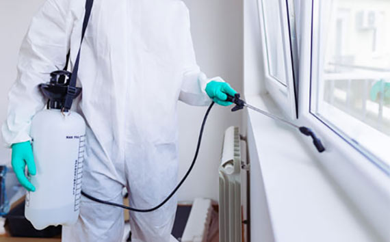 PEST CONTROL SANITISING SERVICE PEST CONTROL SANITISING SERVICE