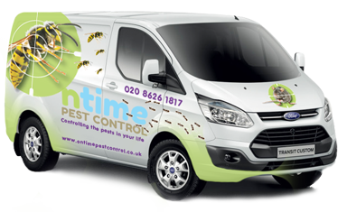 We offer specialised Pest Control services in and around West London, South West London, Kingston, Twickenham and Richmond